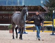 Capri FZ Tosc Tour2013- S5 1666 : Arezzo, Capri FZ, Cavalli d'Italia, Toscana Tour 2013, foto di Stefano Secchi ©